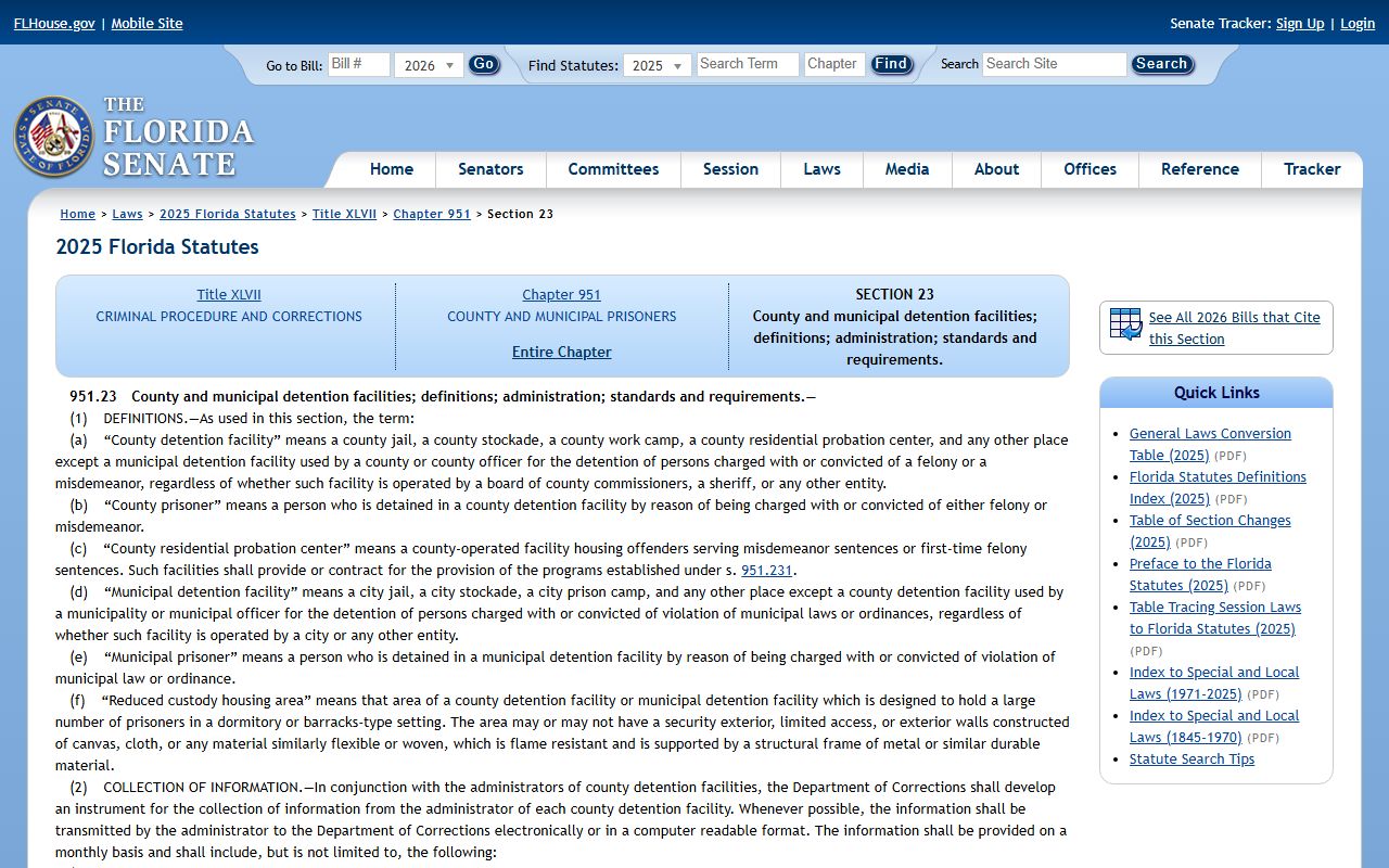 Florida statute page for county and municipal detention facility standards and reporting